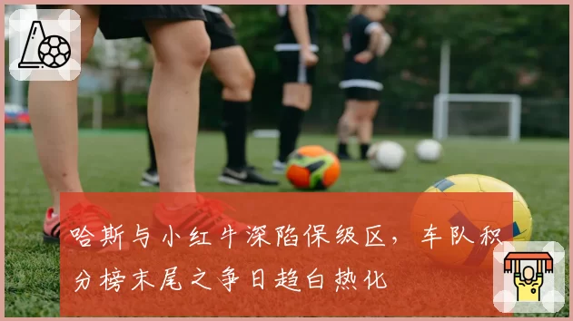 哈斯与小红牛深陷保级区，车队积分榜末尾之争日趋白热化