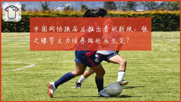 中国网协换届后推出青训新政，张之臻等主力培养路径或生变？