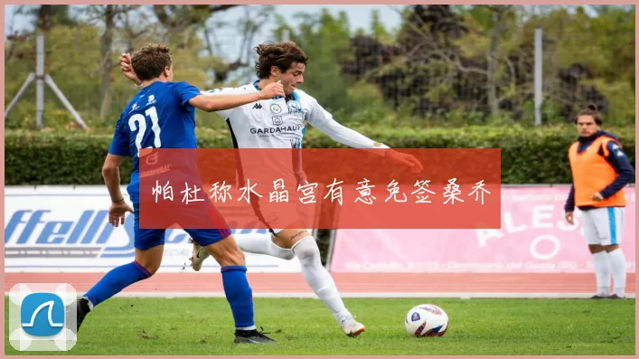 帕杜称水晶宫有意免签桑乔