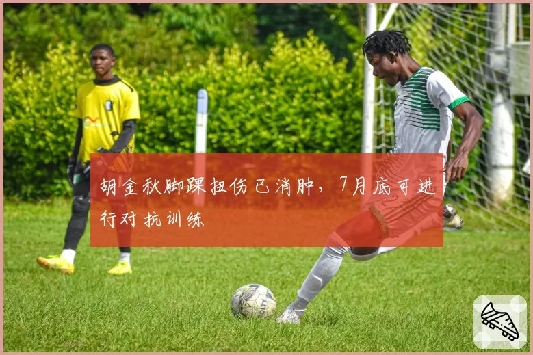 胡金秋脚踝扭伤已消肿，7月底可进行对抗训练