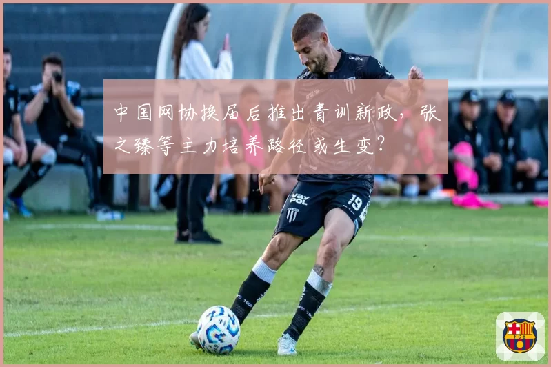 中国网协换届后推出青训新政，张之臻等主力培养路径或生变？