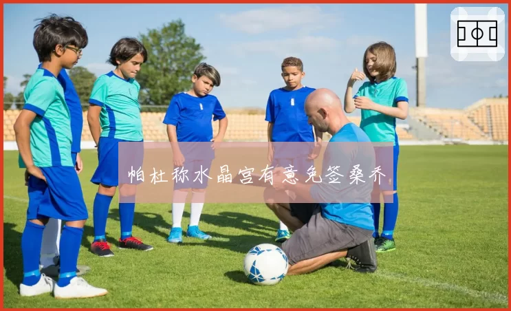 帕杜称水晶宫有意免签桑乔