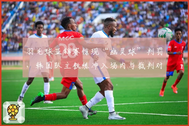 羽毛球亚锦赛惊现“幽灵球”判罚，韩国队主教练冲入场内与裁判对峙