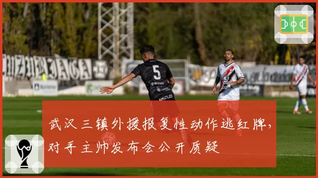 武汉三镇外援报复性动作逃红牌，对手主帅发布会公开质疑